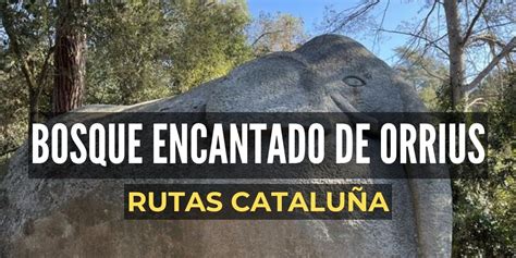 bosque encantado barcelona|Ruta Bosque encantado de Òrrius